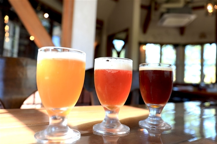 テーブルの上にグラスに注がれた３種類のクラフトビール（地ビール）が並んでいる画像