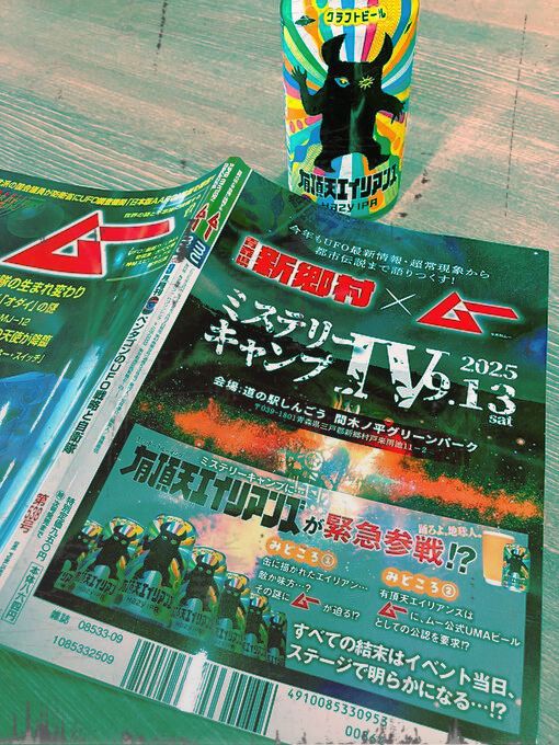ミステリーキャンプの様子