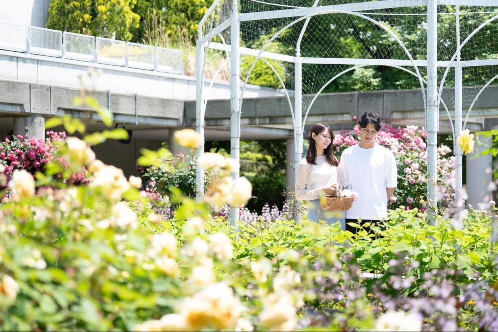 群馬フラワーパーク黄色がテーマ