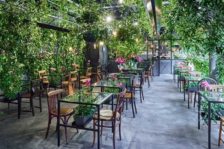 温室のような空間が話題のカフェ 青山フラワーマーケットグリーンハウス
