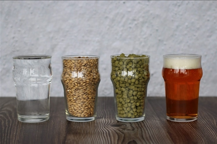 左から、水・麦・ホップのペレット・ビールが入ったグラスが並んでいる様子