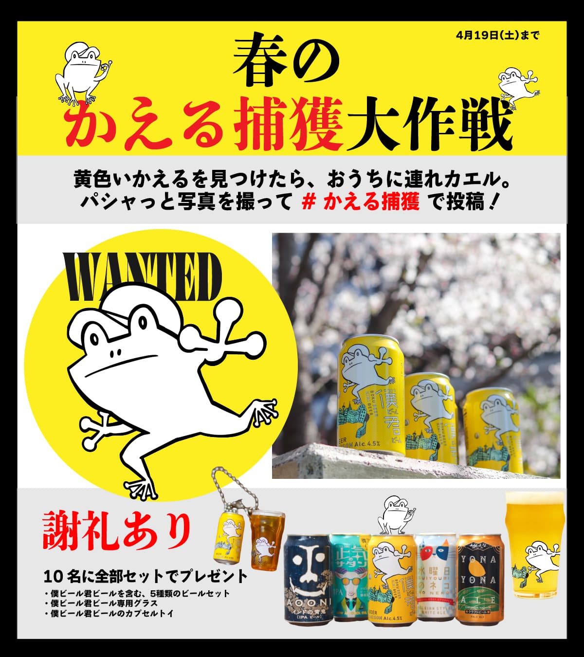 #かえる捕獲キャンペーンの詳細説明画像