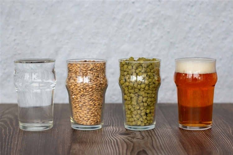 ビールづくりに必要な原材料「麦芽（モルト）」「ホップ」「酵母」「水」がそれぞれ入ったグラスが横に並んでいる様子