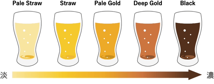 ビールの色EBCの濃淡の解説図。ビールの色を表現する図。