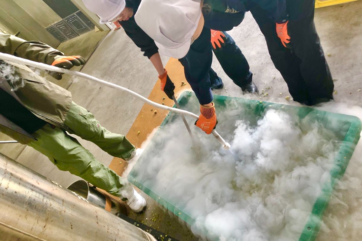 収獲したフレッシュホップの一部を急速冷凍粉砕している