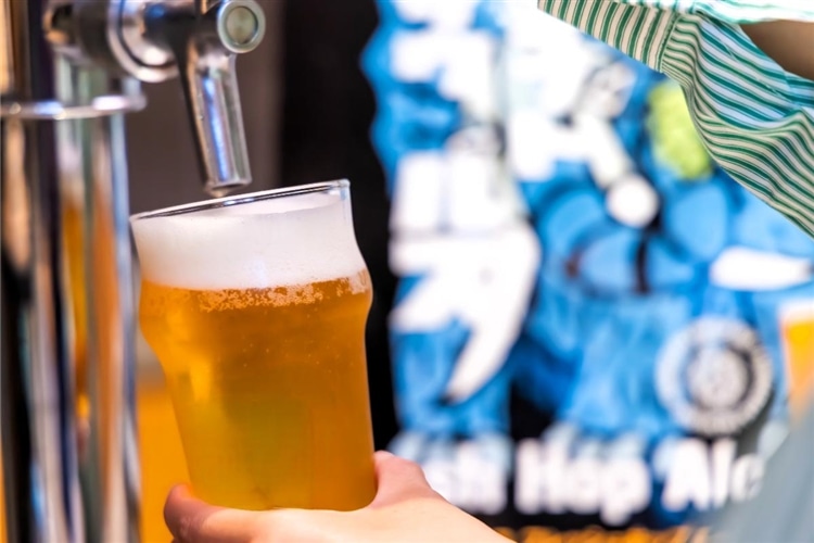 軽井沢ビール　クラフトザウルス　フレッシュホップエールをビールサーバーから注ぐ