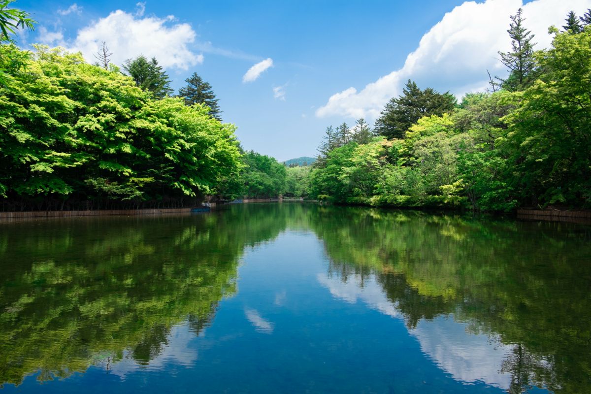 軽井沢の観光地雲場池へ軽井沢の一人旅で