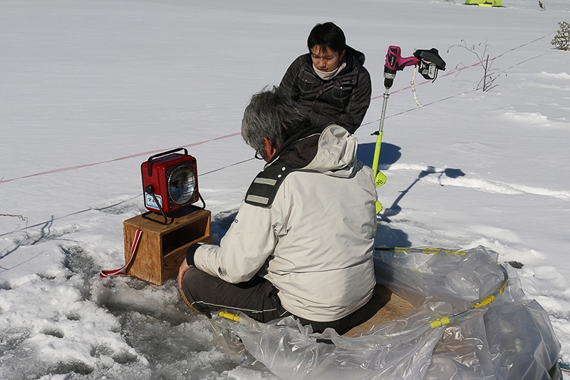 ワカサギ釣りの達人に報告します