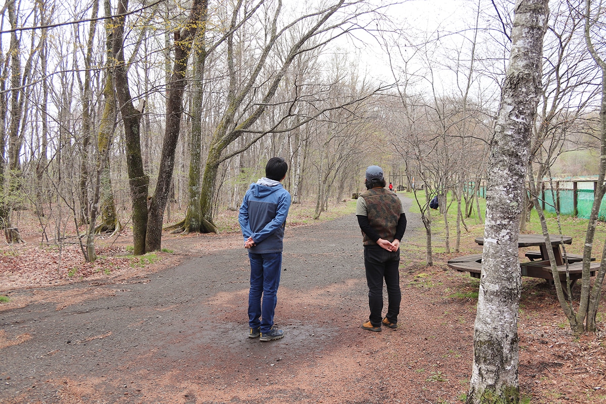 北軽井沢スウィートグラス ぐるぐる散歩 おしぎっぱの森に思いを馳せる