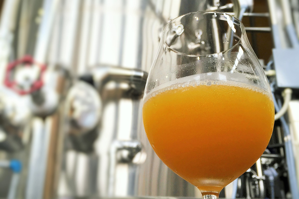 Hazy IPA・Brut IPA…IPAから派生したビールが美味しい!