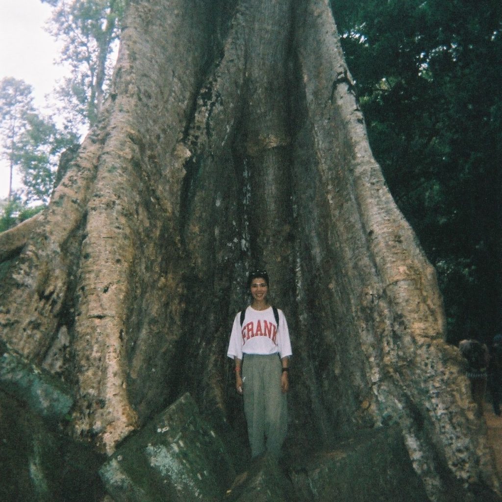 タ・プロームの大木